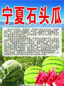 宁夏今日吃瓜爆料